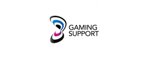 gaming support